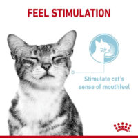 پوچ گربه بد غذا رویال کنین Royal Canin Sensory Feel in Gravy وزن 85 گرم