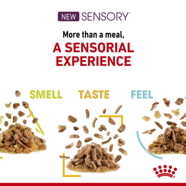 پوچ گربه بد غذا رویال کنین Royal Canin Sensory Feel in Gravy وزن 85 گرم