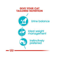 بسته پوچ گربه مراقبت از دستگاه ادراری رویال کنین Royal Canin Urinary Care وزن ۸۵ گرم