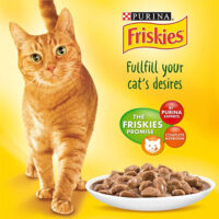 پوچ گربه فریسکیز مدل Friskies Salmon in Gravy وزن 85 گرم