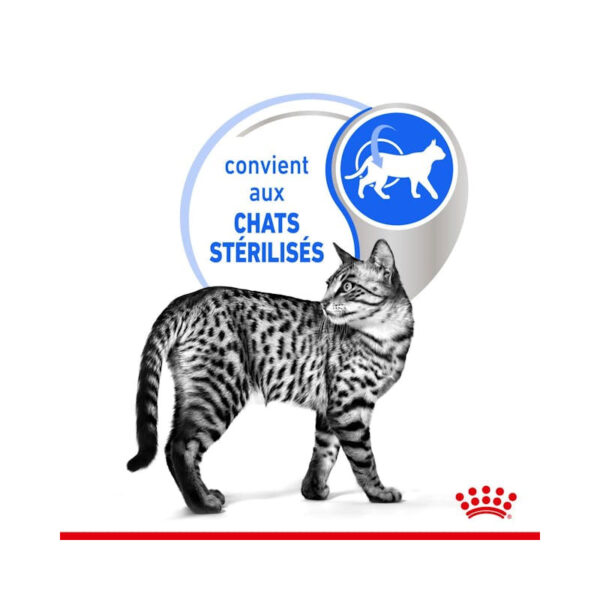 پوچ گربه عقیم شده ایندور رویال کنین در سس Royal canin Indoor sterilised وزن 85 گرم