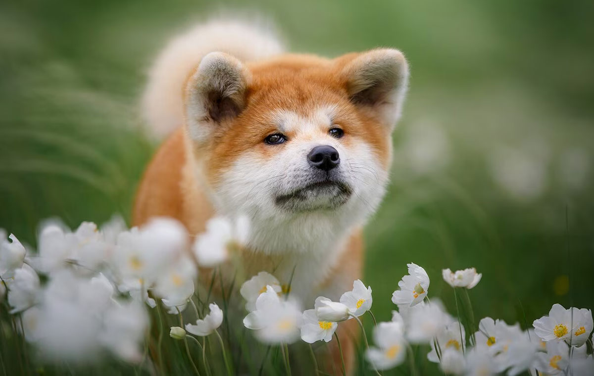 ۶۴۵۶۴۵۶۴۶