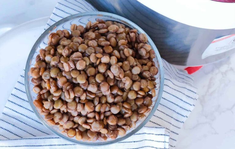 عدس برای گربه؛ بررسی کامل فواید، مضرات و نحوه مصرف عدس